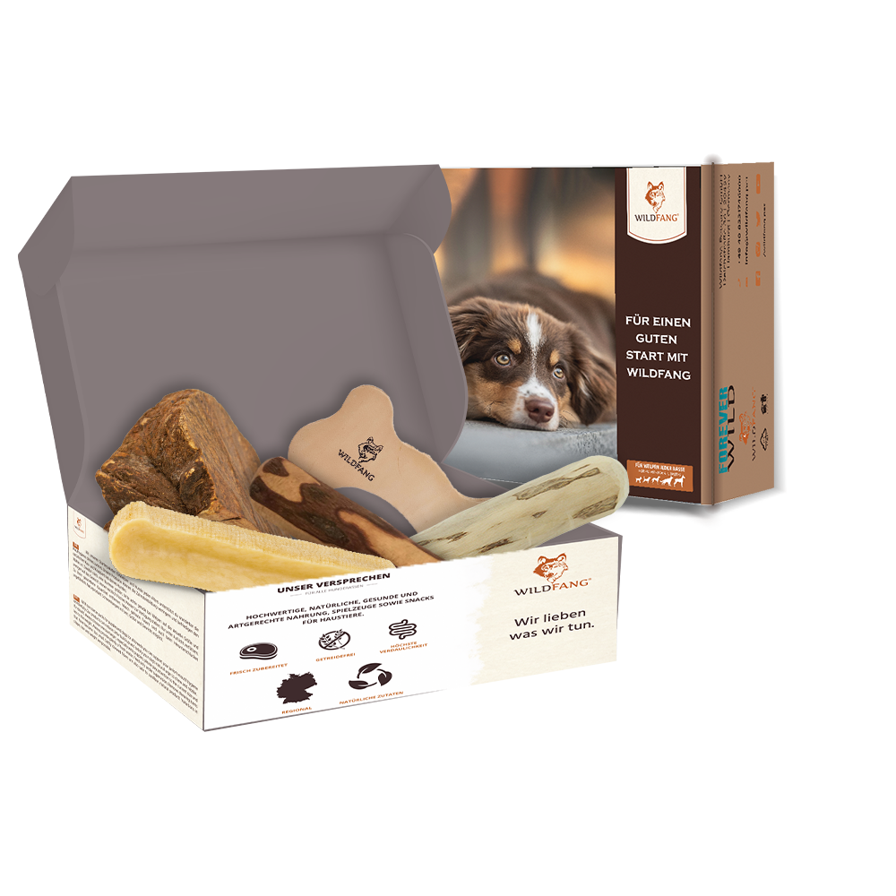 Wildfang® Package "chewing fun" for all dogs Wildfang Petcare