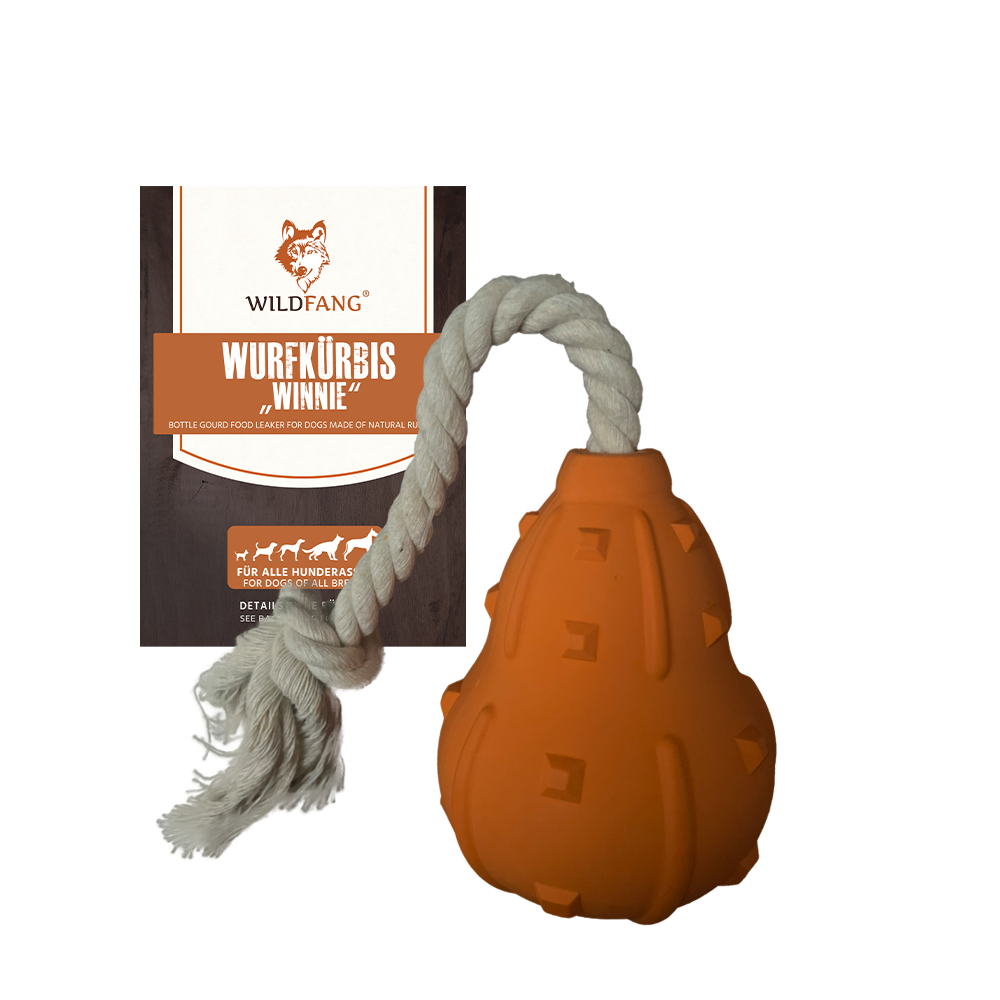 "Winnie" pumpkin-shaped