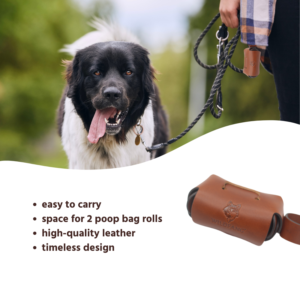 Dog Poop Bag Holder for Leashes