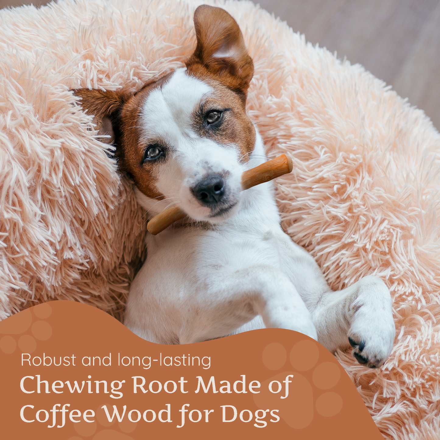 Coffee wood