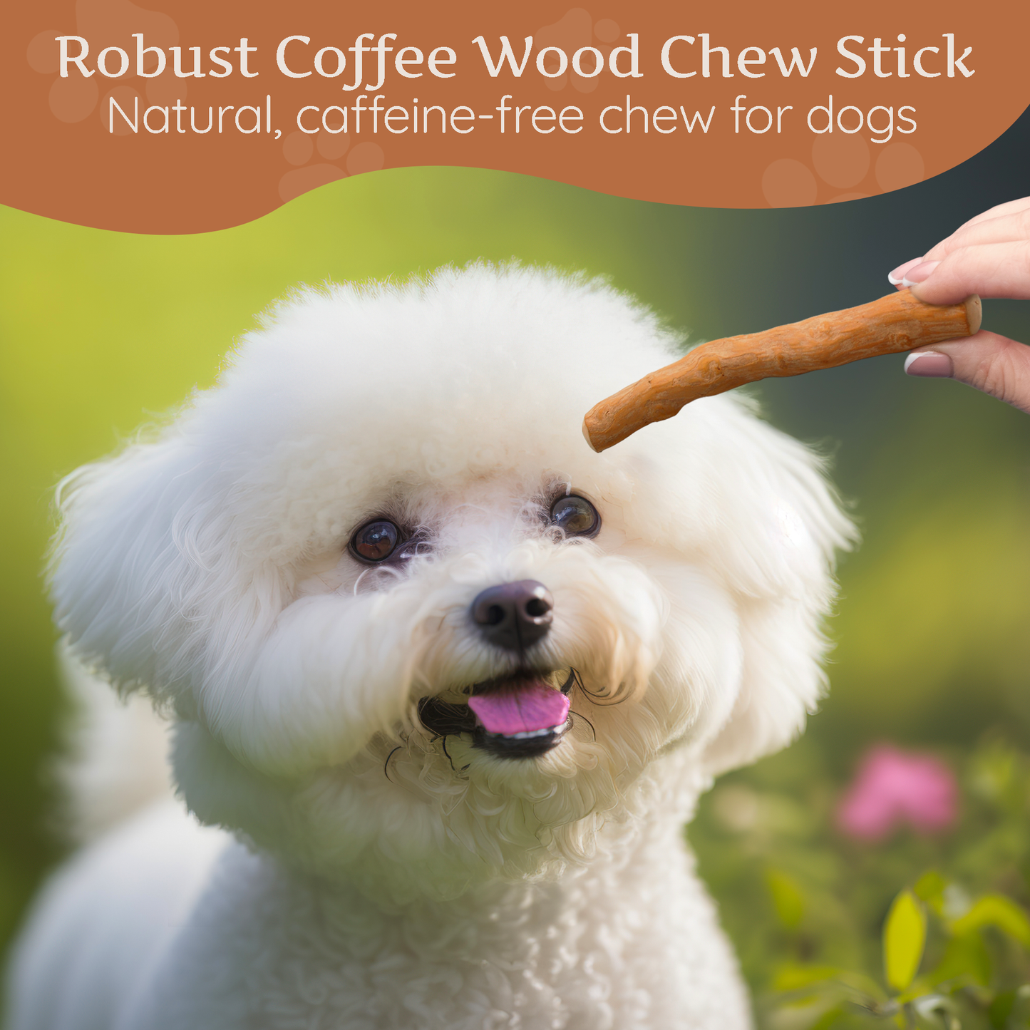 Coffee wood