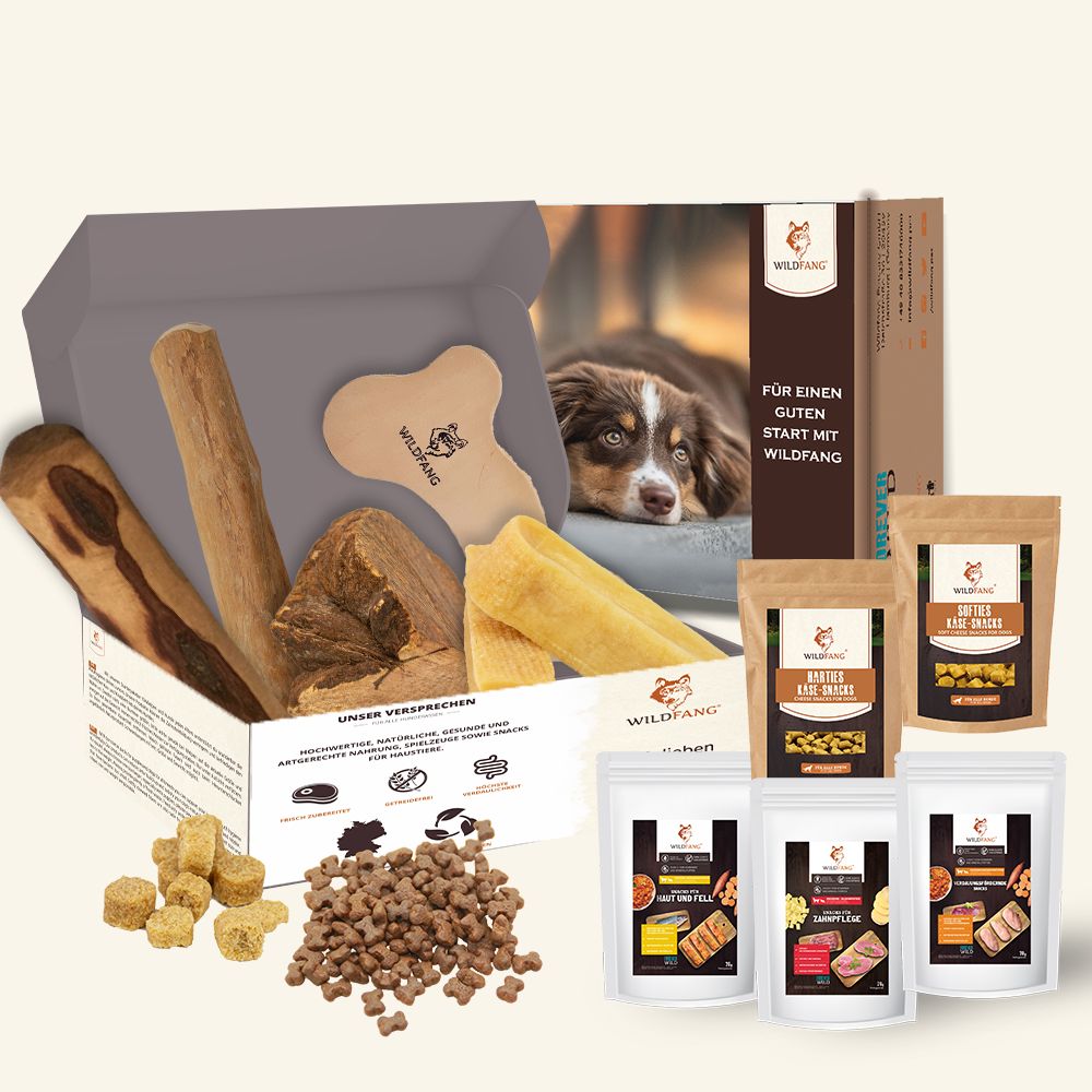 Package XXL “Welcome darling” for puppies