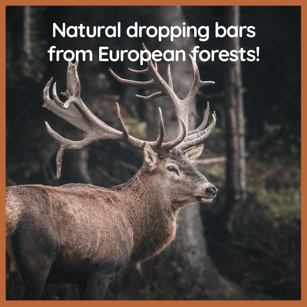 Antlers