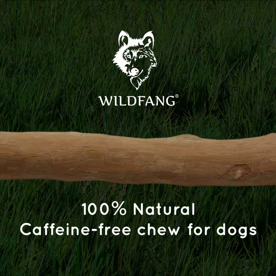 Coffee Wood Chewing Stick for Dogs
