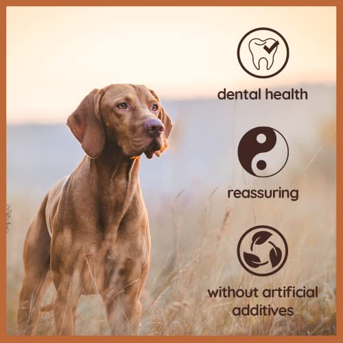 Wildfang® Chewing root from tree heather for dogs – Wildfang Petcare
