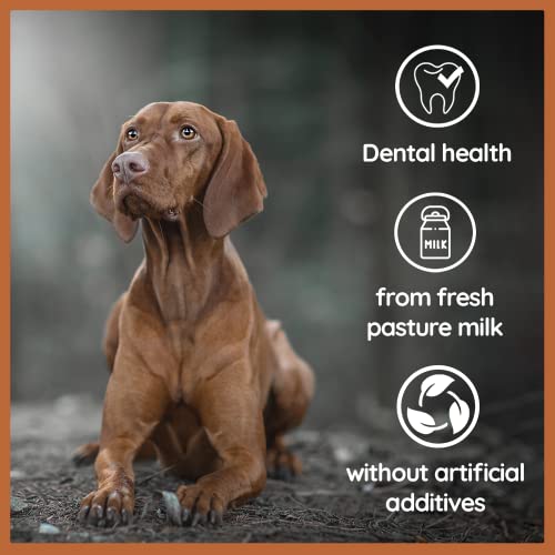 Hard cheese for dogs clearance