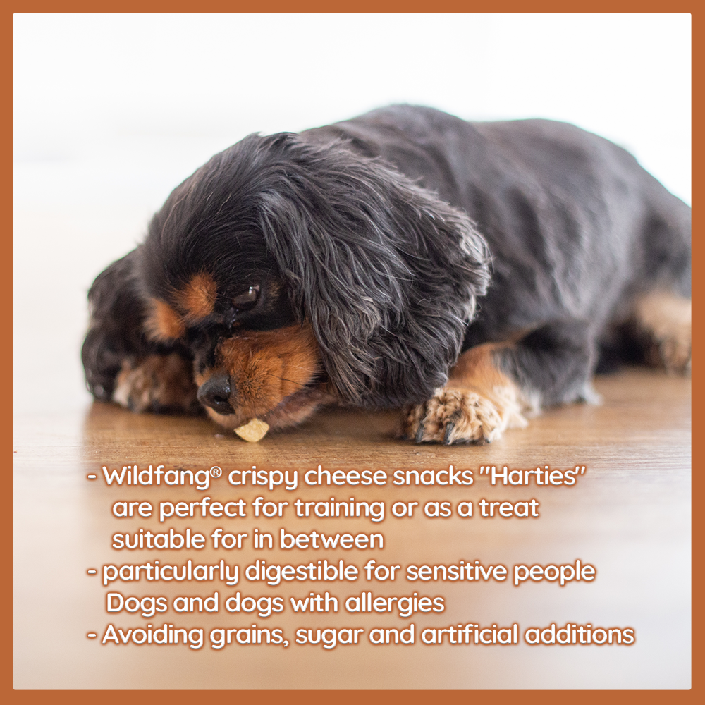 Cheese snack